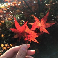 網(wǎng)站空間是否穩(wěn)定流暢對SEO排名優(yōu)化的影響有多大?