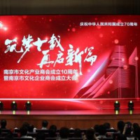 熱烈慶祝南京市文化企業(yè)商會隆重成立